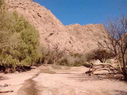 Puesto Los colorados - Estancia Punta del Agua