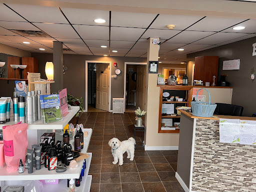 New Attitude Salon and Wellness Spa image 3