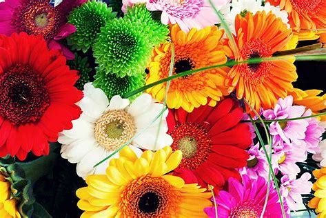 Florist «Arizona Flower Shop», reviews and photos, 1812 E McDowell Rd, Phoenix, AZ 85006, USA