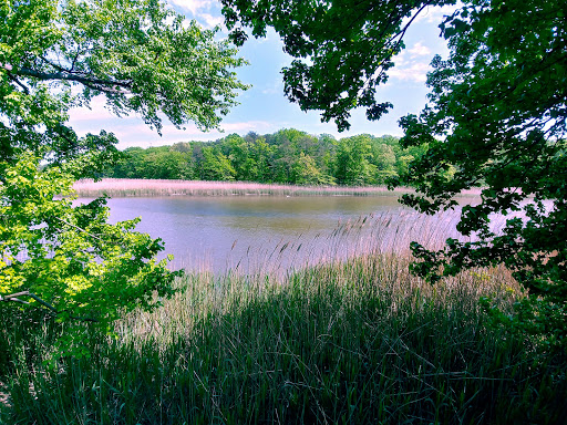 Park «Eastern Regional Park», reviews and photos, 11723 Eastern Ave, Middle River, MD 21220, USA