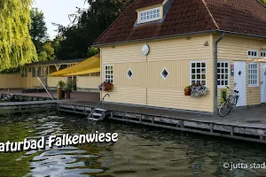 Naturbad Falkenwiese image
