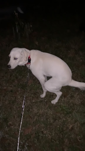 Pet Supply Store «Petsense Biloxi», reviews and photos, 2650 Beach Blvd, Biloxi, MS 39531, USA