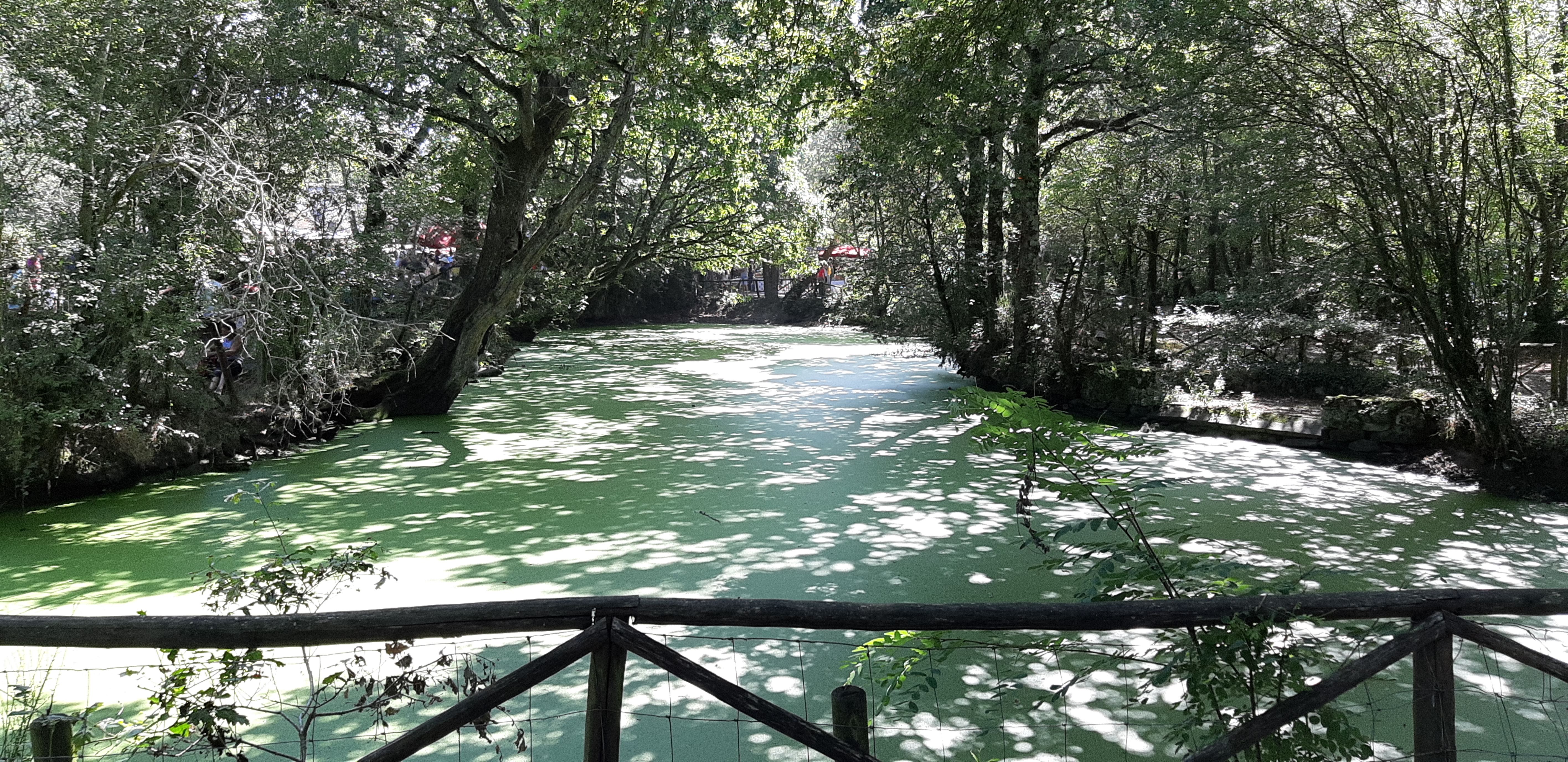 Photo n° 3 de l'avis de Stéphane.u fait le 24/08/2019 à 21:23