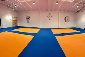 Judo Club Zaragoza image