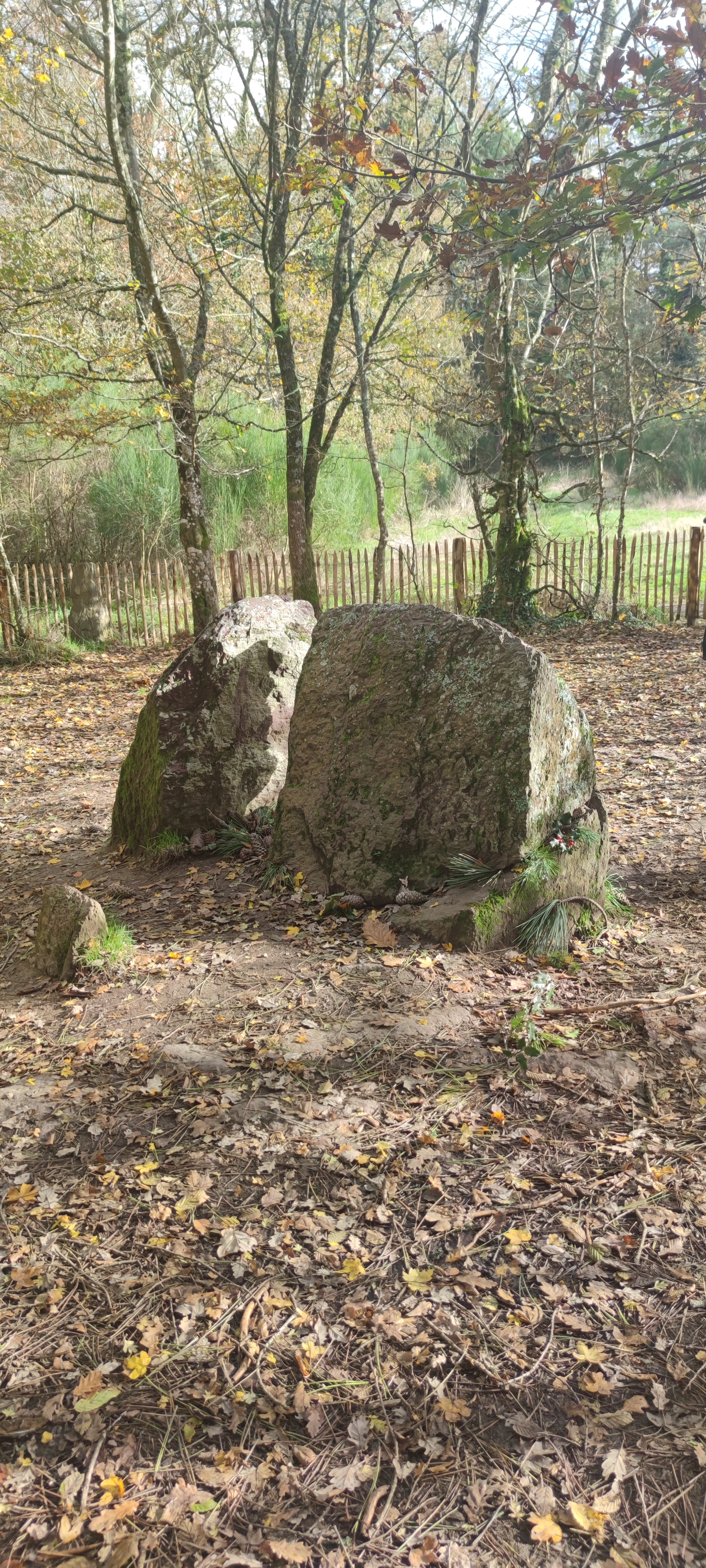 Photo n° 1 de l'avis de Corine.A fait le 19/11/2023 à 16:14