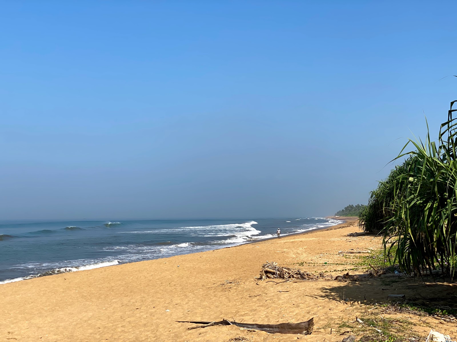 Foto de Pinwatte beach com alto nível de limpeza