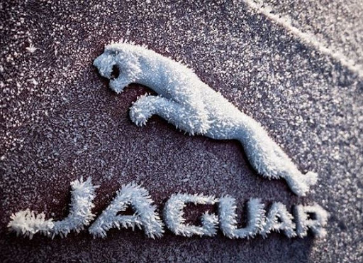 Jaguar Dealer «Jaguar of Tampa», reviews and photos, 320 E Fletcher Ave, Tampa, FL 33612, USA