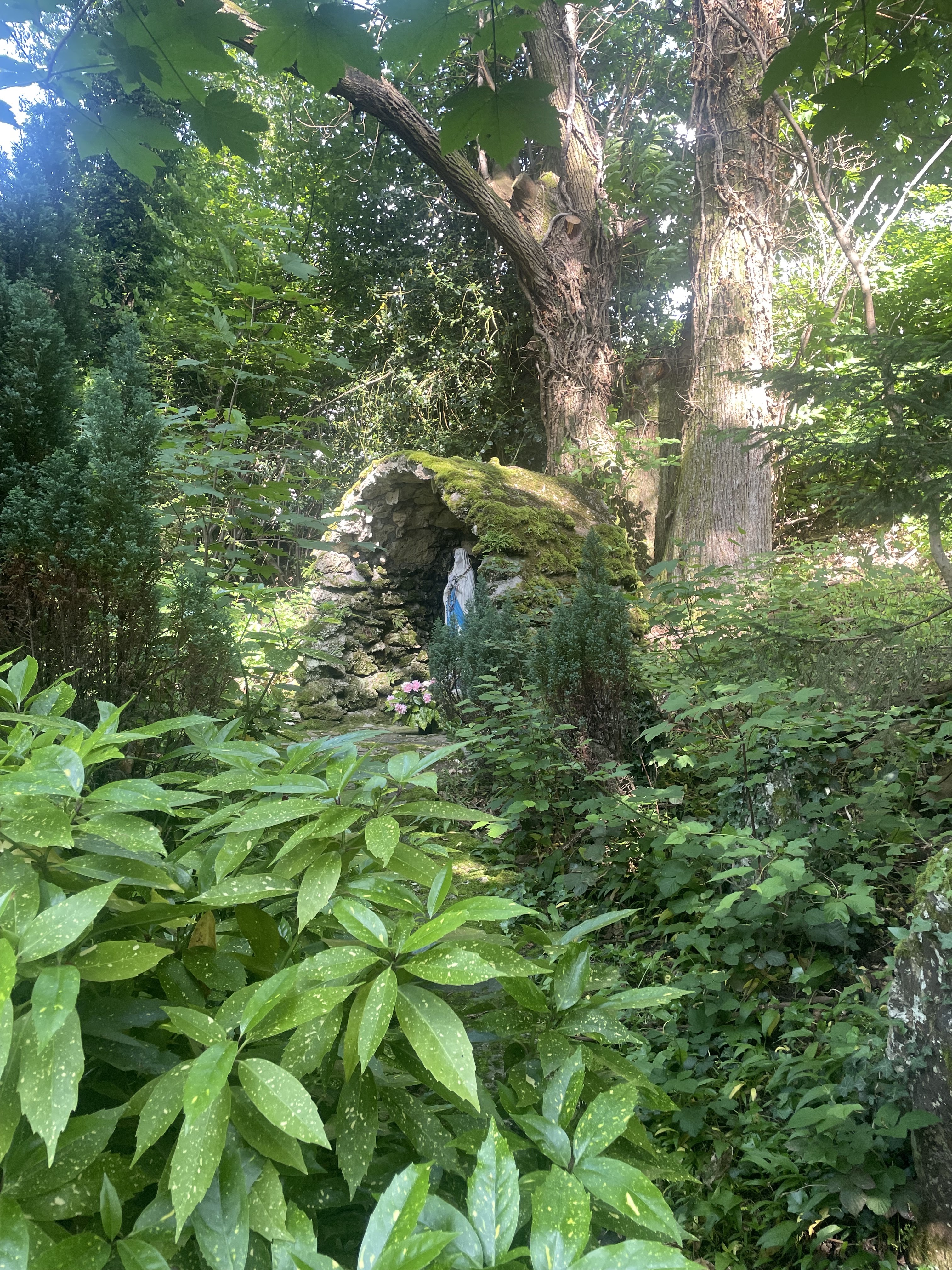 Photo n° 2 de l'avis de Véronique.w fait le 29/05/2023 à 08:41
