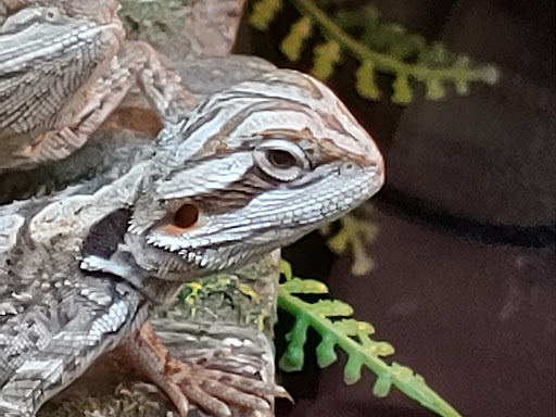 Pet Supply Store «PetSmart», reviews and photos, 2391 NJ-66, Ocean Township, NJ 07712, USA