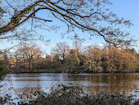 University of Reading - Photo 3 - Car repair in Reading, United Kingdom, Ponce