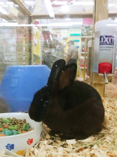 Pet Supply Store «Pet Supermarket», reviews and photos, 3806 S Dale Mabry Hwy, Tampa, FL 33629, USA