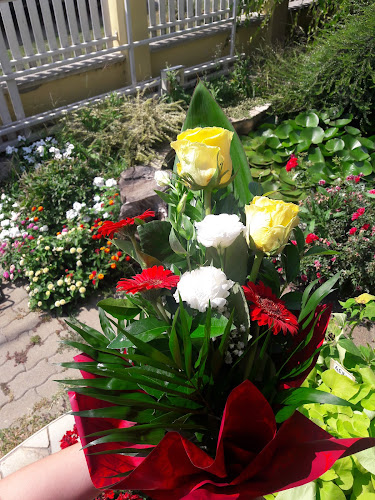 Értékelések erről a helyről: Szentmártoni Virágüzlet, Berettyóújfalu - Virágárus