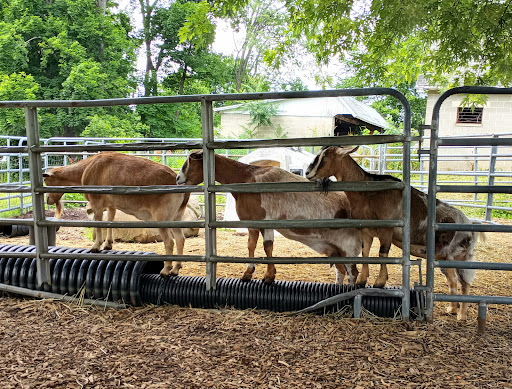 B & B Flower Farm, 668 Jones Hill Rd, West Haven, CT 06516, USA, 