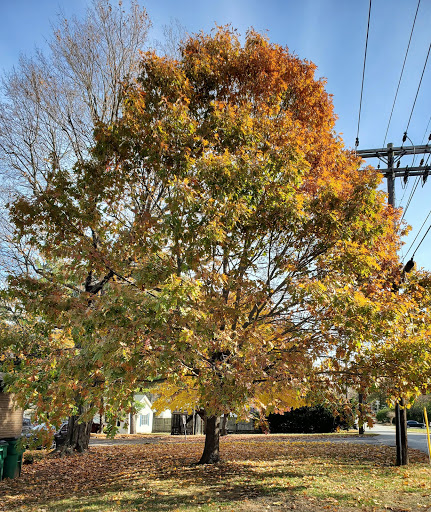 Family Law Attorney «The Law Office of Melissa Winkler-York, LLC», reviews and photos