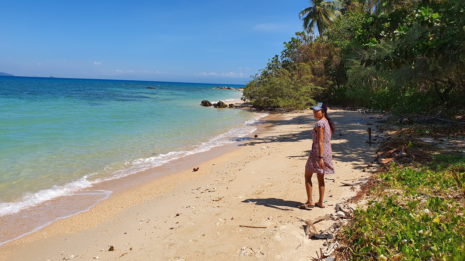 Photo of Turtle Beach wild area