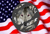 Wolfpack Emergency roadside Assistance - Photo 5 - Car repair in , Hartford