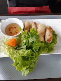 Rouleau de printemps du Restaurant asiatique Vietthai à Frouzins - n°5