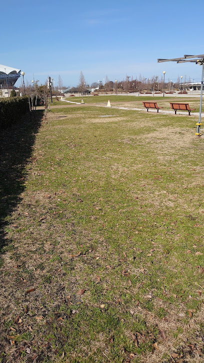新潟県スポーツ公園西側芝生広場
