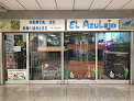 Exotic animal shops in Caracas