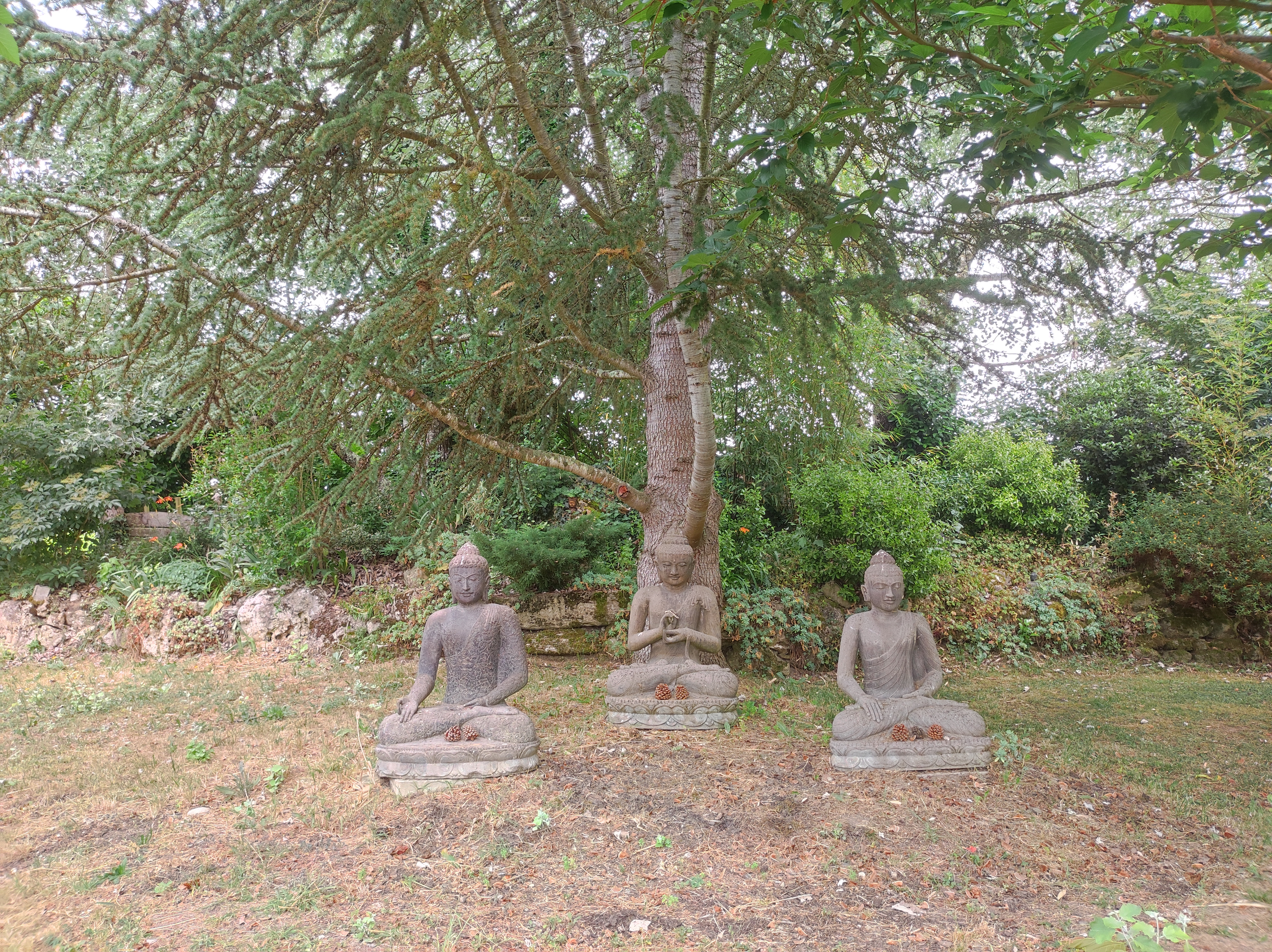 Photo n° 4 de l'avis de Miaojing.a fait le 04/06/2022 à 20:51