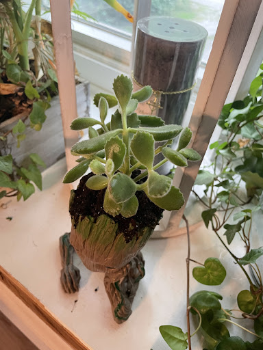 Garden Center «Beachside Gardens & Gifts», reviews and photos, 3725 US-12, Michigan City, IN 46360, USA