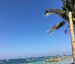Bamboo Eatery & Bar photo
