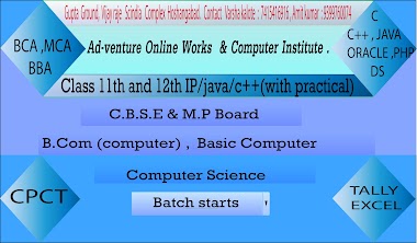 Ad-Venture Online Works & Computer Institute