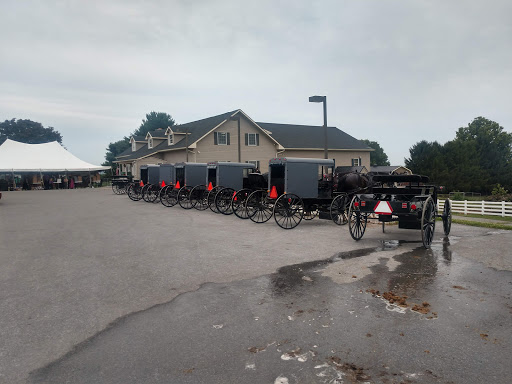 Shoe Store «Leacock Shoe Store», reviews and photos, 64 Old Leacock Rd, Ronks, PA 17572, USA