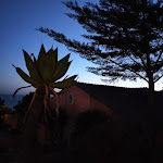 Photo n°1 de l'avis de Susana.e fait le 28/01/2022 à 19:40 sur le  Hotel Solar Palmeiras à Paço de Arcos