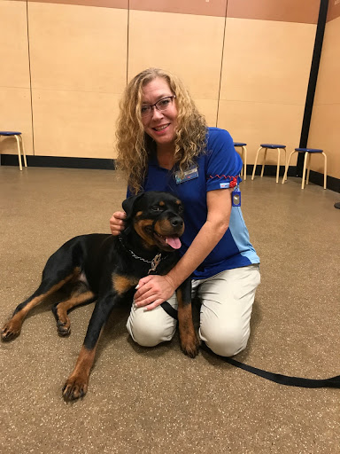 Pet Supply Store «PetSmart», reviews and photos, 1921 Gulf Fwy S, Dickinson, TX 77539, USA