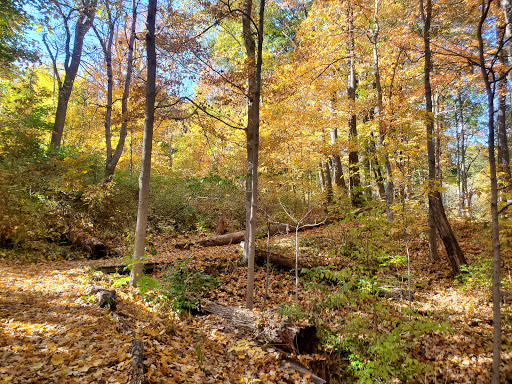 Nature Preserve «Caldwell Nature Center», reviews and photos, 430 W North Bend Rd, Cincinnati, OH 45216, USA