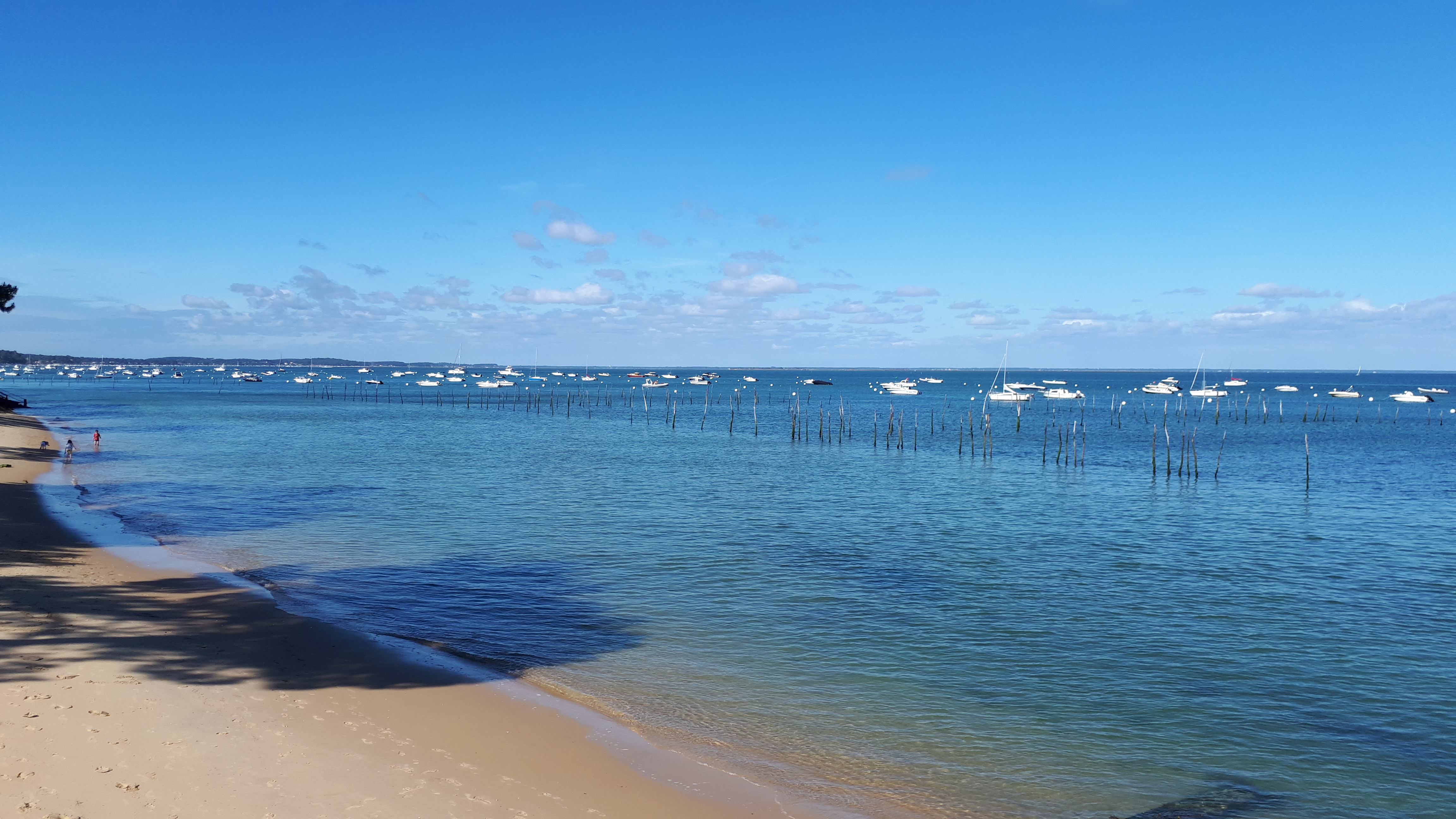 Photo n° 3 de l'avis de Lacsap.5 fait le 29/05/2019 à 22:03