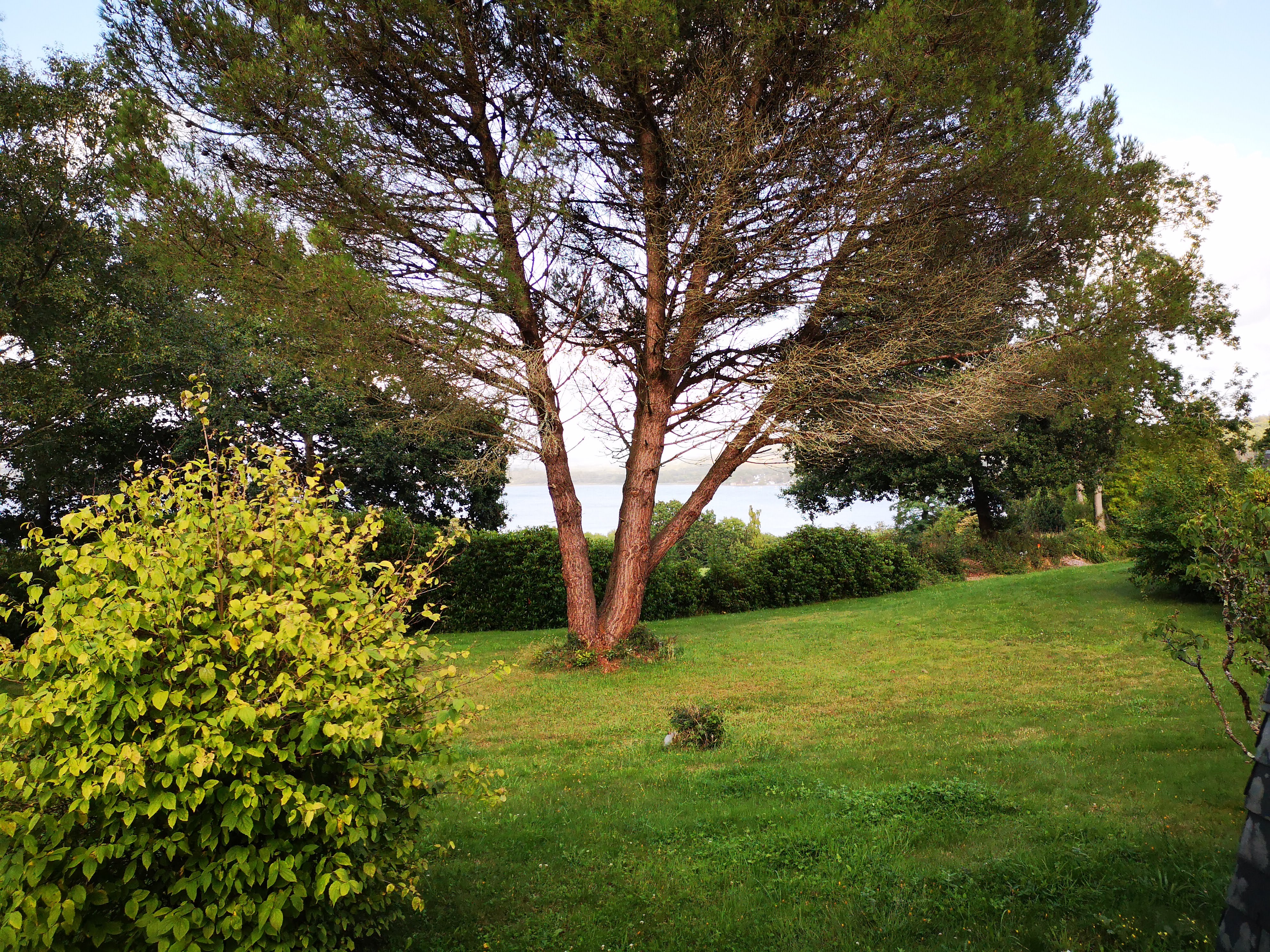 Photo n° 1 de l'avis de Jean-Marc.n fait le 09/09/2019 à 16:02