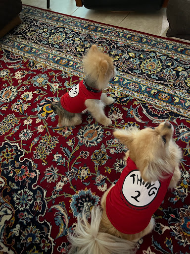 Pet Supply Store «Pet Pros», reviews and photos, 3695 Murrell Rd #101, Rockledge, FL 32955, USA