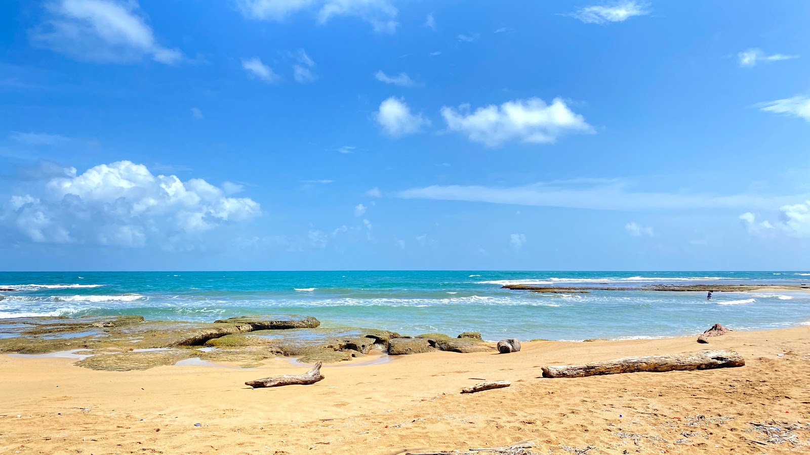 Fotografija Palenque Beach priljubljeno mesto med poznavalci sprostitve