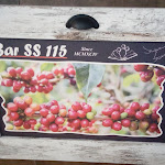 Photo n°2 de l'avis de Appartamento.e fait le 18/09/2019 à 19:31 sur le  Bar S.S. 115 à Ispica