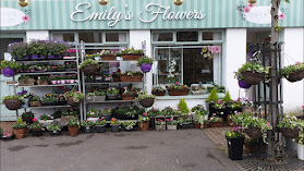 Emily's Flowers Dungannon