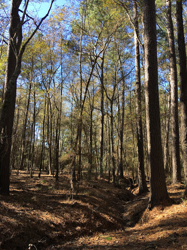 Nature Preserve «Spring Creek Greenway Nature Center», reviews and photos, 1300 Riley Fuzzel Rd, Spring, TX 77386, USA