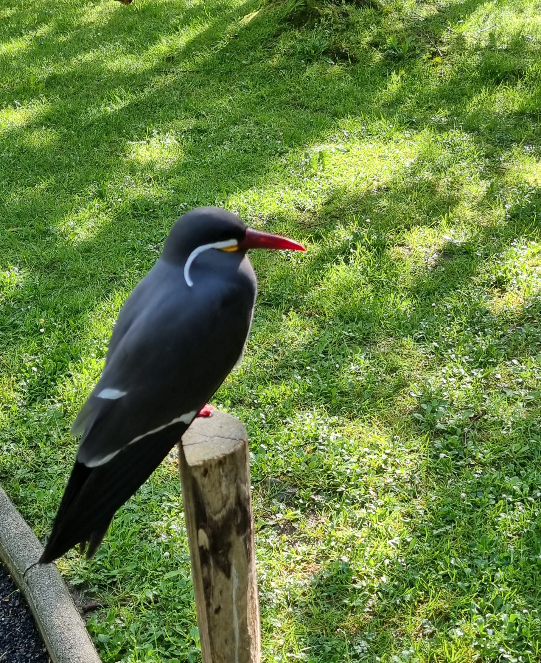 Photo n° 3 de l'avis de Anne.a fait le 25/04/2022 à 13:04