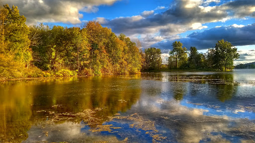 Performing Arts Theater «Cortland Repertory Theatre», reviews and photos, 6799 Little York Lake Rd, Preble, NY 13141, USA
