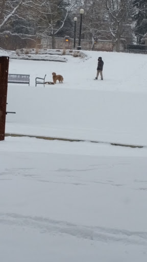 Park «Governors Park», reviews and photos, 701 Pennsylvania St, Denver, CO 80203, USA