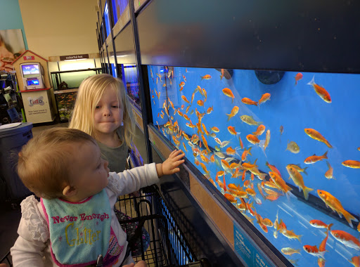 Pet Supply Store «Petco Animal Supplies», reviews and photos, 226 Thornton Drive, Dickson, TN 37055, USA