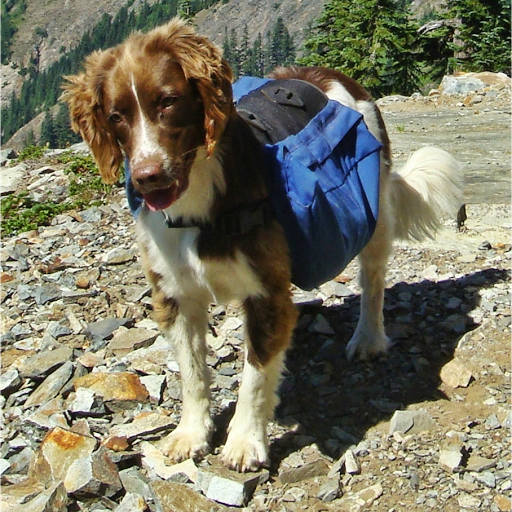 Car Dealer «Emerald Valley Auto Sales», reviews and photos, 22002 Pacific Hwy S, Des Moines, WA 98198, USA