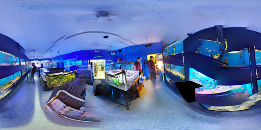 Pet Store «Coral Reef Pet Center», reviews and photos, 7723 W Lawrence Ave, Norridge, IL 60706, USA