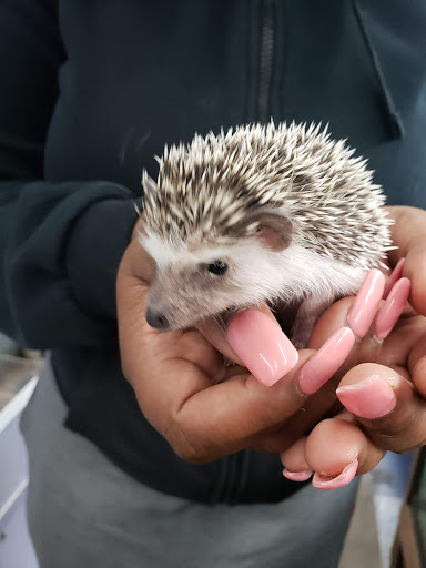 Pet Store «Jules Pet Shop», reviews and photos, 2214 N Milwaukee Ave, Chicago, IL 60647, USA