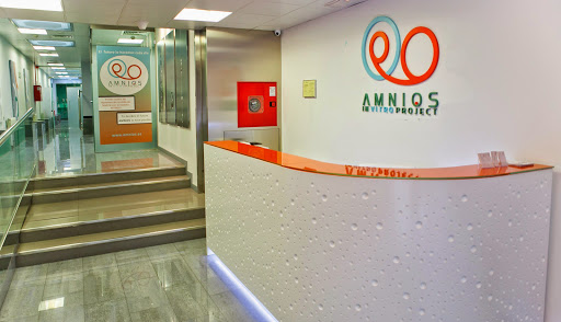 Amnios In Vitro Project | Clínica Fertilidad Y Fecundación In Vitro En Madrid | Fiv | Donación De Óvulos
