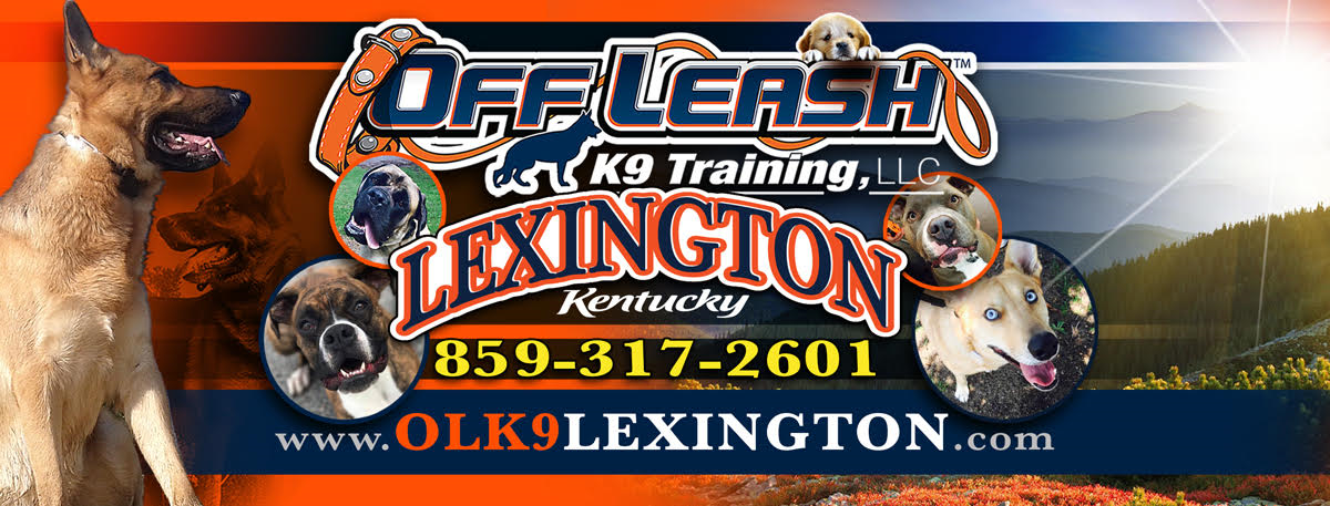 Off Leash K9 Training Lexington