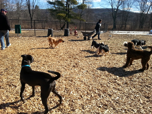 Paw Meadow Dog Park