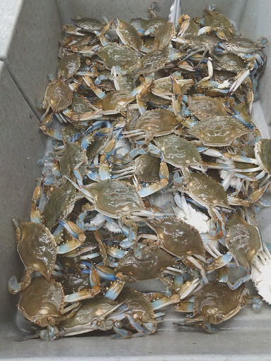 Grocery Store «Global Food», reviews and photos, 19227 Watkins Mill Rd, Montgomery Village, MD 20886, USA