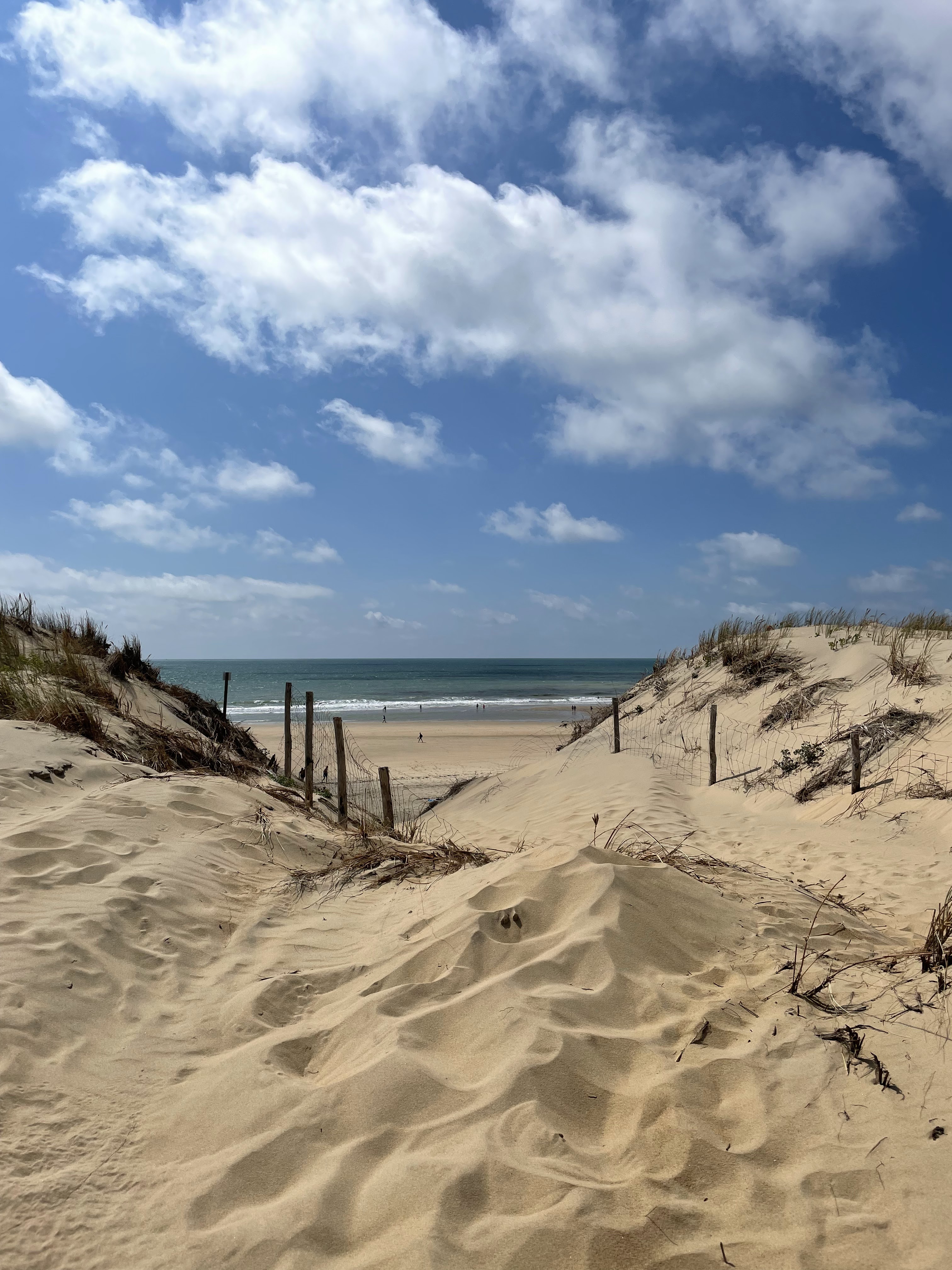 Photo n° 3 de l'avis de Arthur.o fait le 01/08/2021 à 12:56